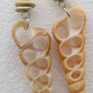 Statement Sponge Coral Earrings with center cut turretella shells. Yellow turquoise and mother of pearl accent. French hooks.